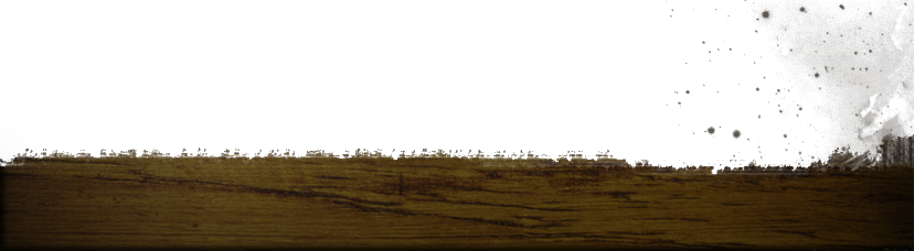 Wood_bottom-trans